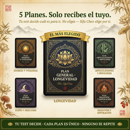 Tu Plan Personalizado — Escrito por Sifu Chen