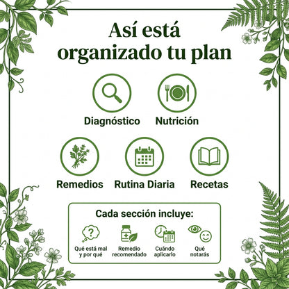 Tu Plan Personalizado — Escrito por Sifu Chen