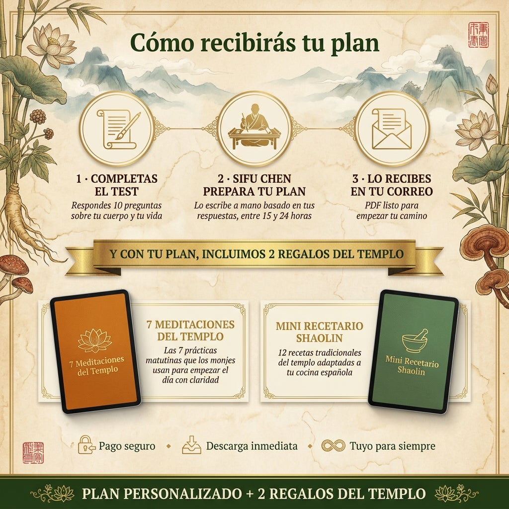 Tu Plan Personalizado — Escrito por Sifu Chen